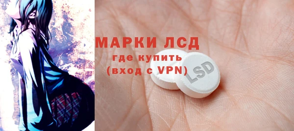 сатива Няндома