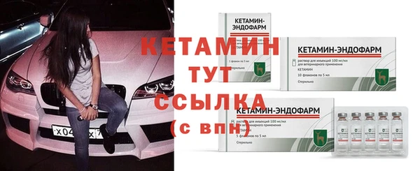 сатива Няндома