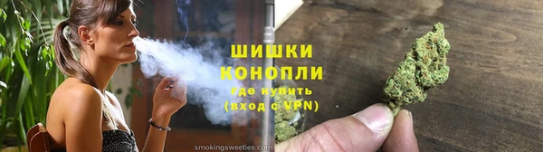 сатива Няндома