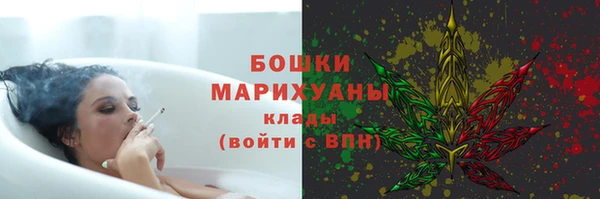 шишки Ельня