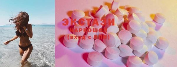 сатива Няндома