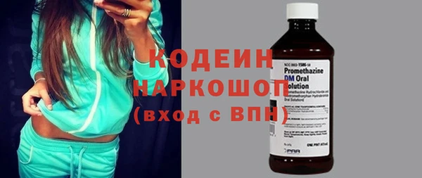 сатива Няндома