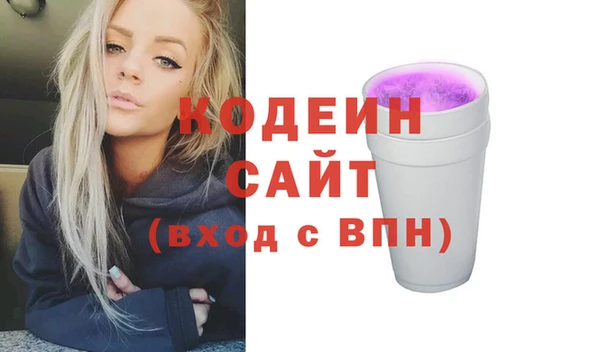 сатива Няндома