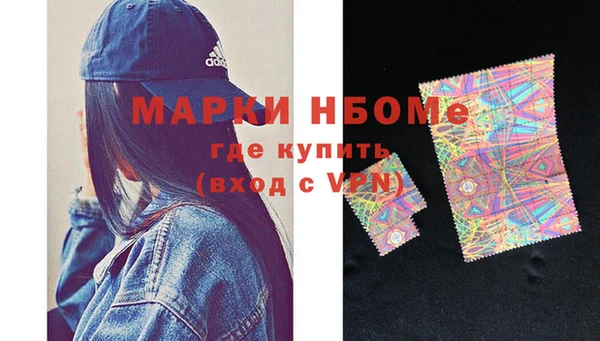сатива Няндома