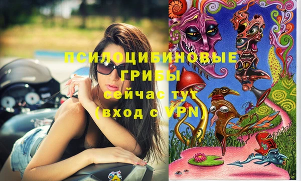 меф Нязепетровск