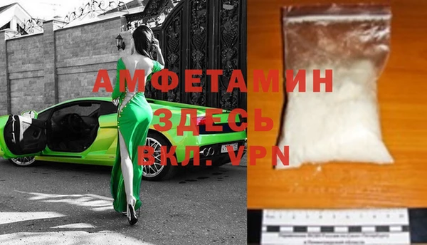 сатива Няндома