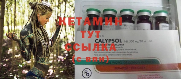 сатива Няндома