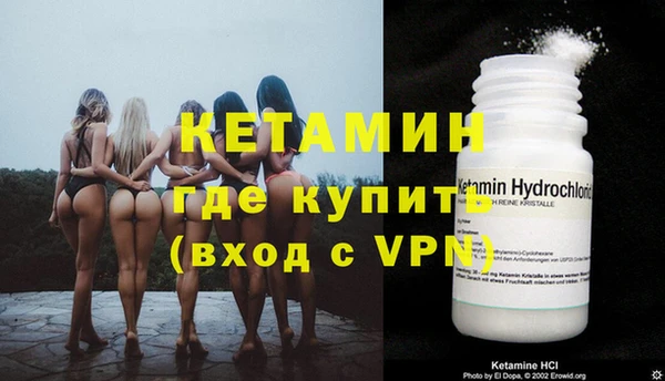 сатива Няндома