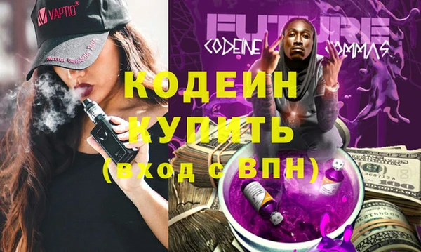 сатива Няндома