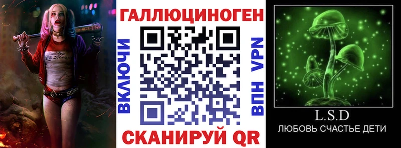 Псилоцибиновые грибы Psilocybe  KRAKEN tor  Богданович 