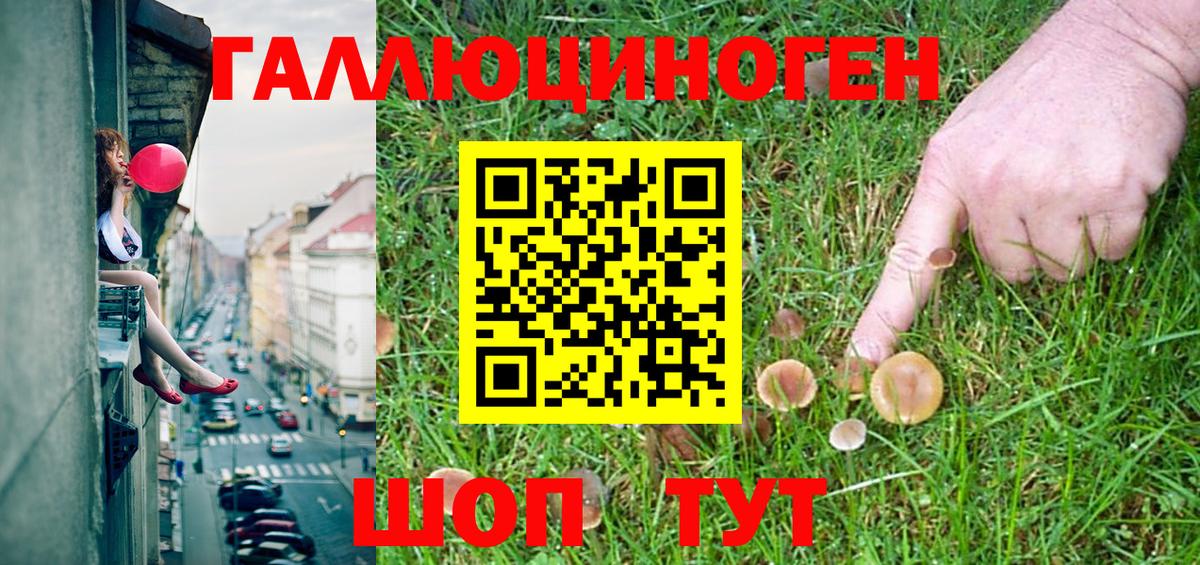 Галлюциногенные грибы MAGIC MUSHROOMS Богданович