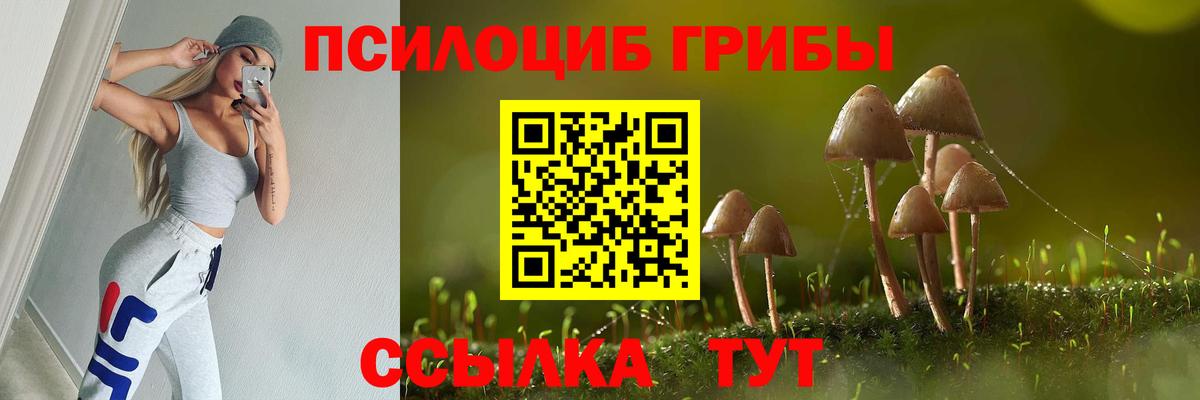 даркнет сайт  Галлюциногенные грибы мицелий  Вход с VPN  Богданович 